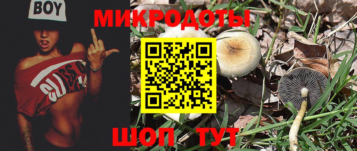 Полевской  Галлюциногенные грибы мухоморы  Вход с VPN 